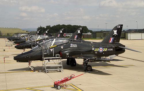 Hawk