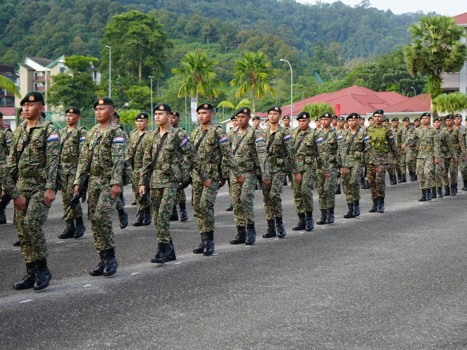 Harimau