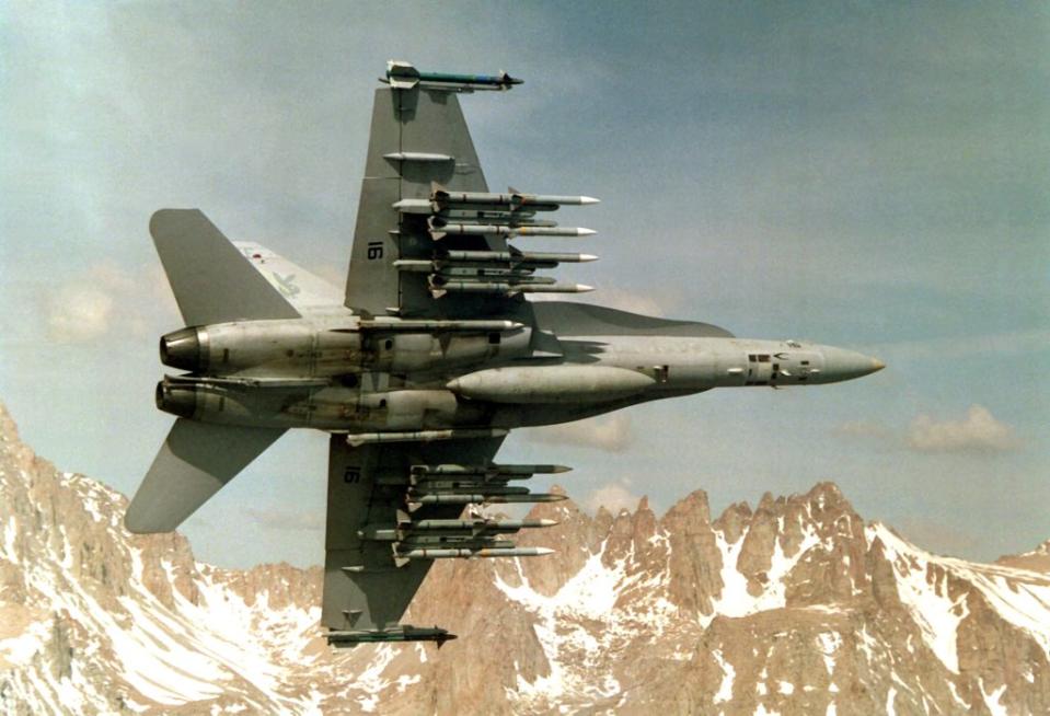 Murder Hornet