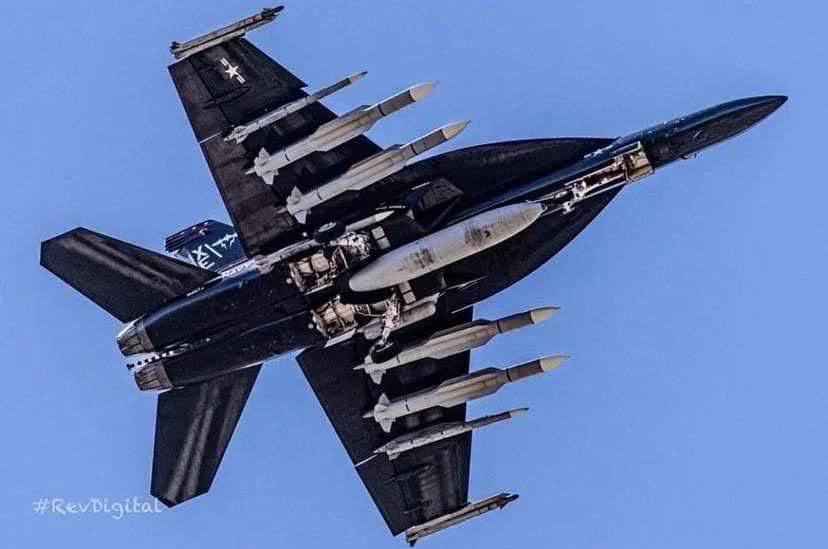 Murder Hornet