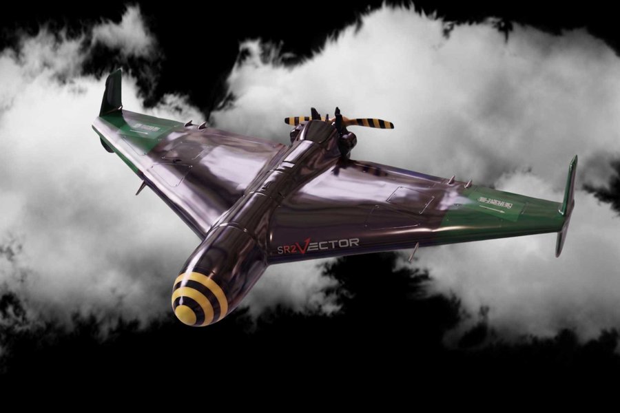 Skywasp